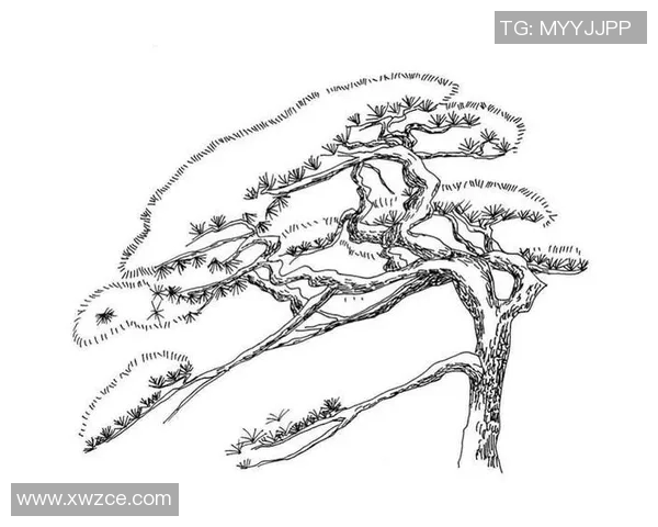 简单易学的足球明星框架画法技巧与步骤分享 简单易学的足球明星框架画法技巧与步骤分享